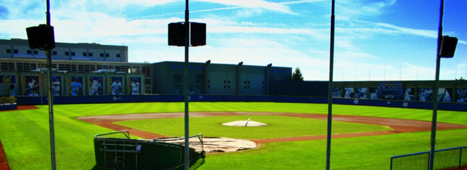 ブラックホッパーズメイン画像